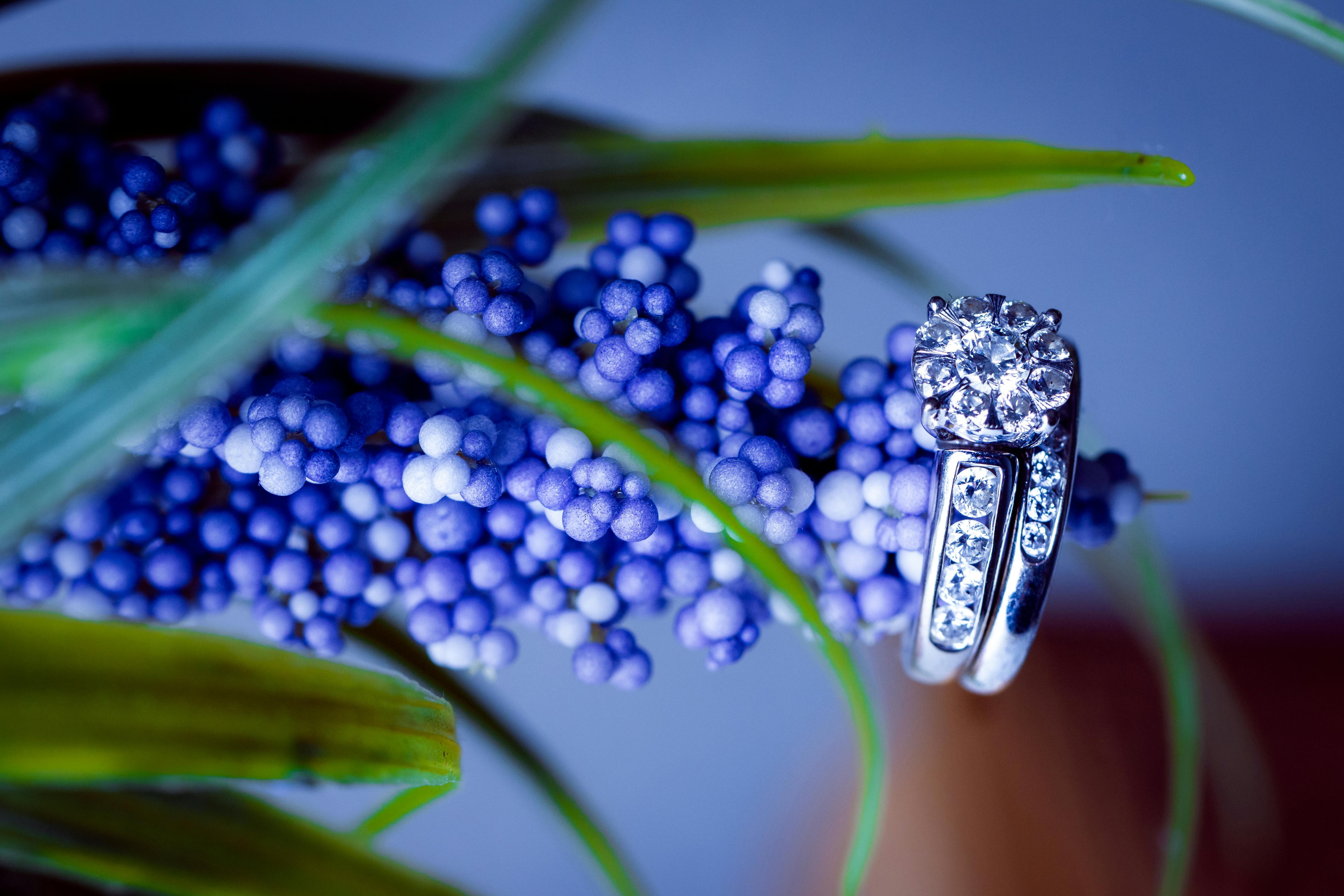 Lab grown diamond ring resting among fresh blue flowers and green leaves in natural daylight, Draco Diamond sustainability guide Canada